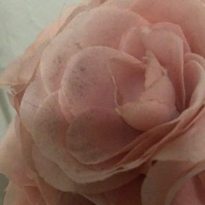 Meet your Posher, Erika